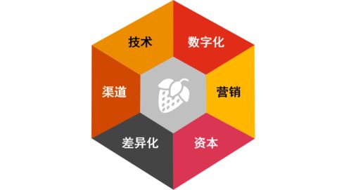 健康食品市場迎風(fēng)口 物聯(lián)網(wǎng)技術(shù)助推產(chǎn)業(yè)新機遇